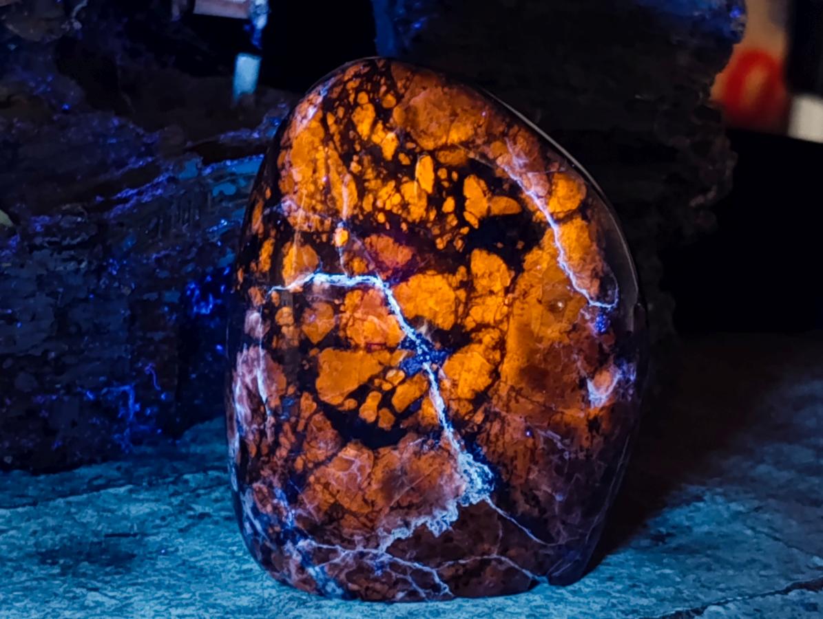 Polished Sodalite Standing Free Forms x 3 From Kunene River, Namibia