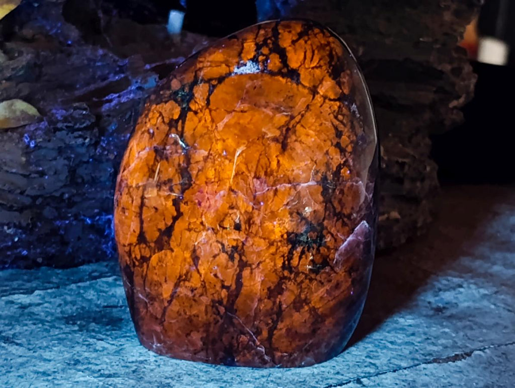 Polished Sodalite Standing Free Forms x 3 From Kunene River, Namibia