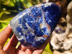 Polished Sodalite Standing Free Forms x 3 From Kunene River, Namibia