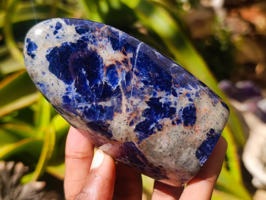 Polished Sodalite Standing Free Forms x 3 From Kunene River, Namibia