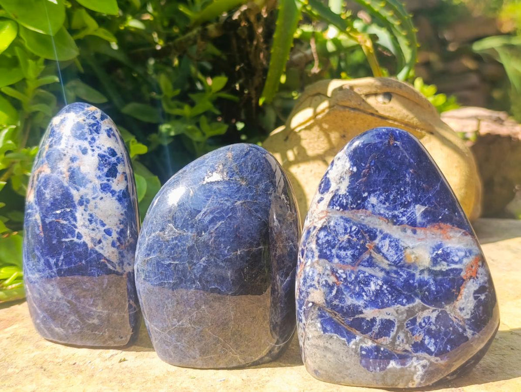 Polished Sodalite Standing Free Forms x 3 From Kunene River, Namibia