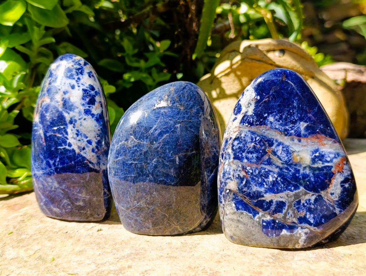 Polished Sodalite Standing Free Forms x 3 From Kunene River, Namibia