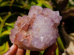 Natural Cactus Flower Amethyst Spirit Clusters x 2 From South Africa