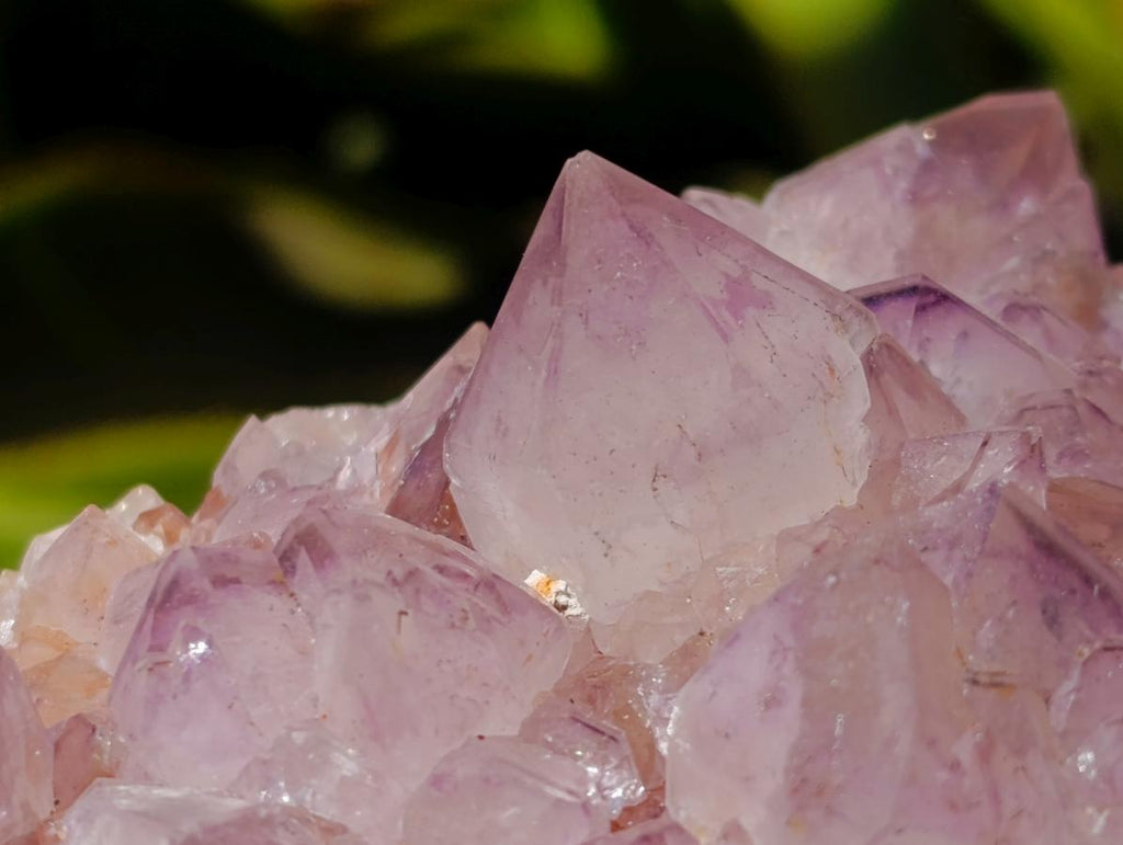 Natural Cactus Flower Amethyst Spirit Clusters x 2 From South Africa