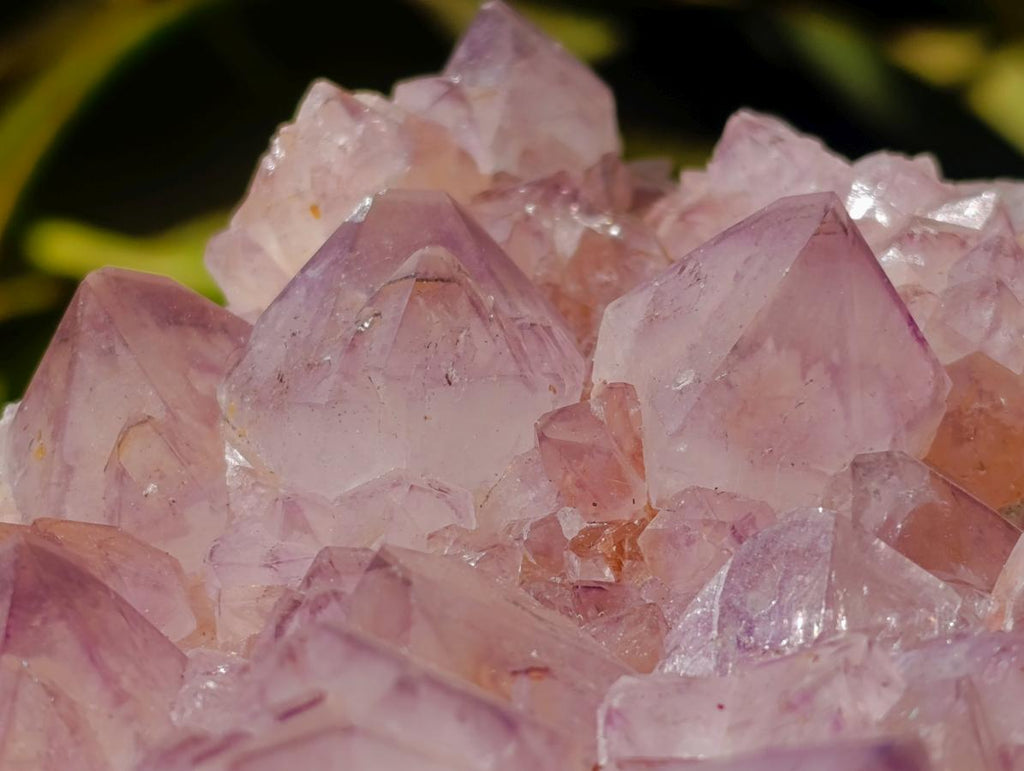 Natural Cactus Flower Amethyst Spirit Clusters x 2 From South Africa