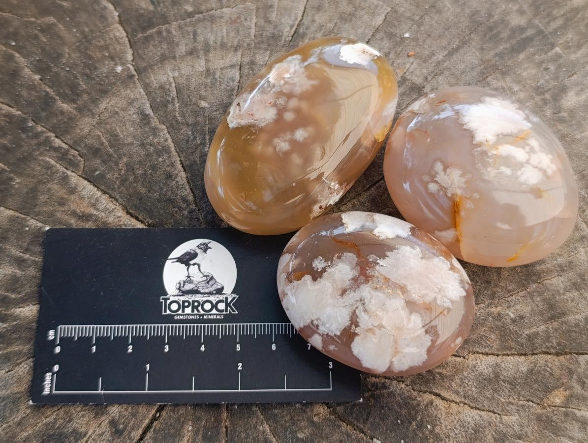 Polished Flower Agate Palm Stones x 12 From Antsahalova, Madagascar