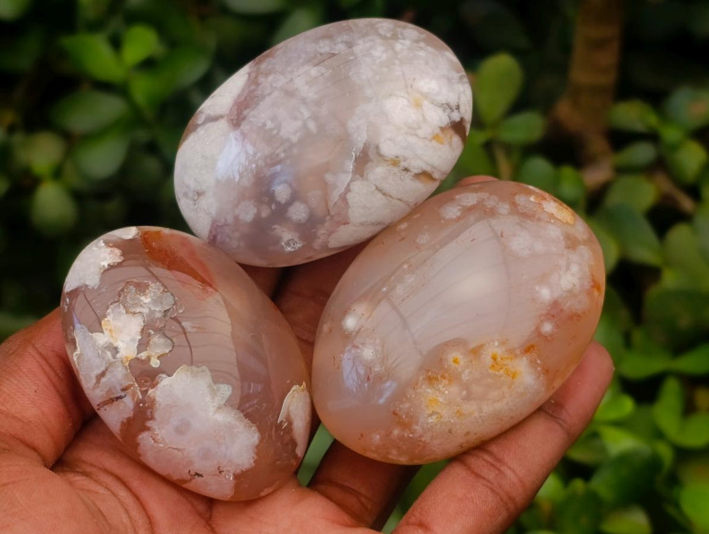 Polished Flower Agate Palm Stones x 12 From Antsahalova, Madagascar