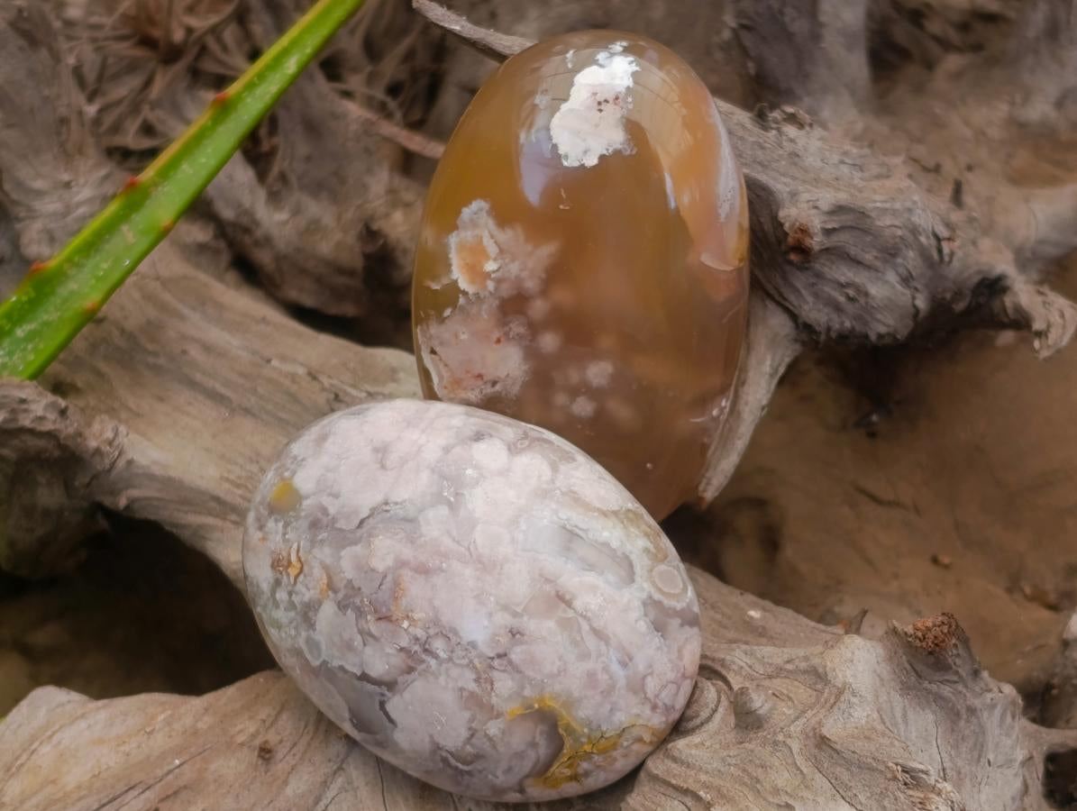 Polished Flower Agate Palm Stones x 12 From Antsahalova, Madagascar