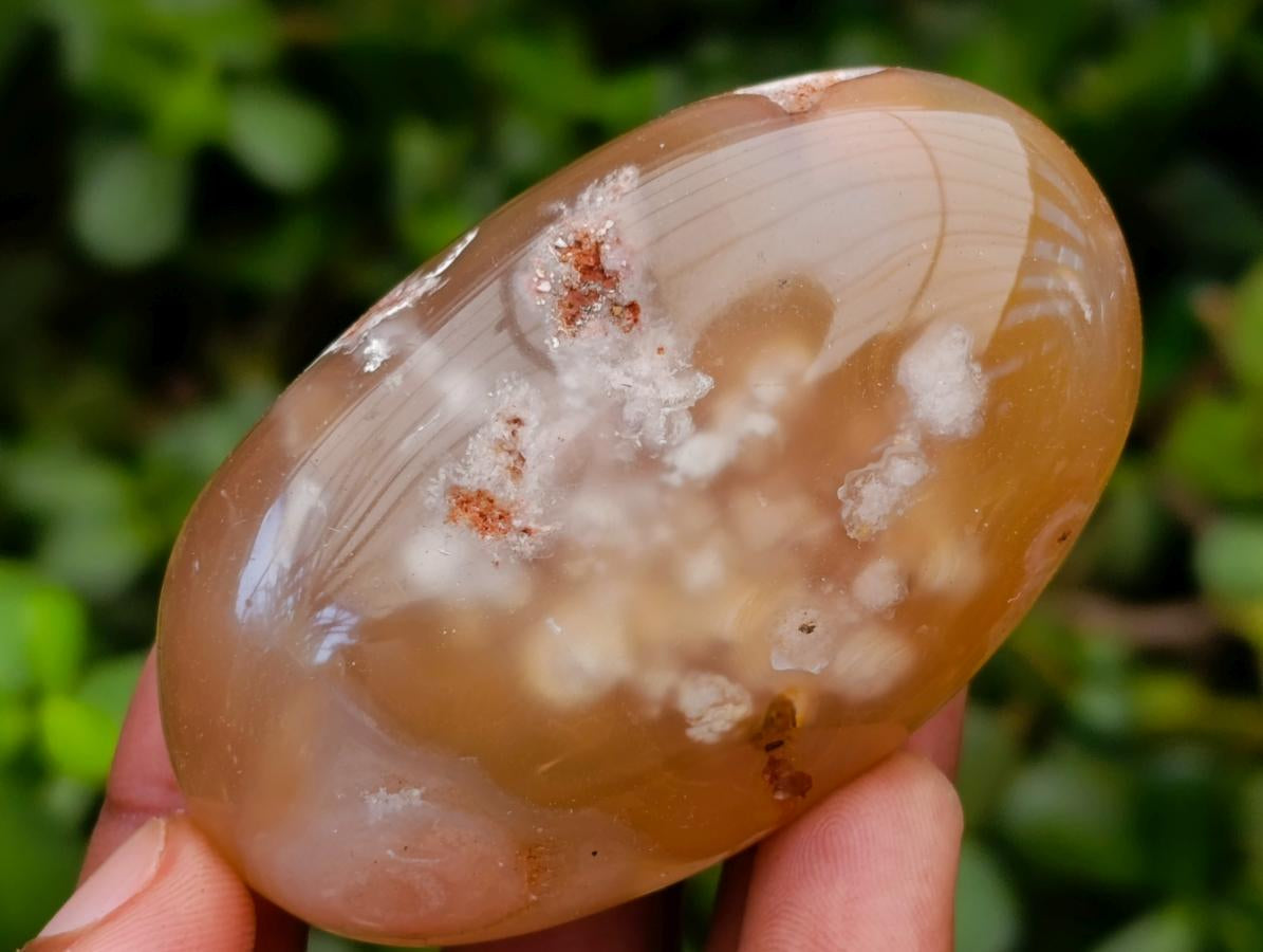 Polished Flower Agate Palm Stones x 12 From Antsahalova, Madagascar