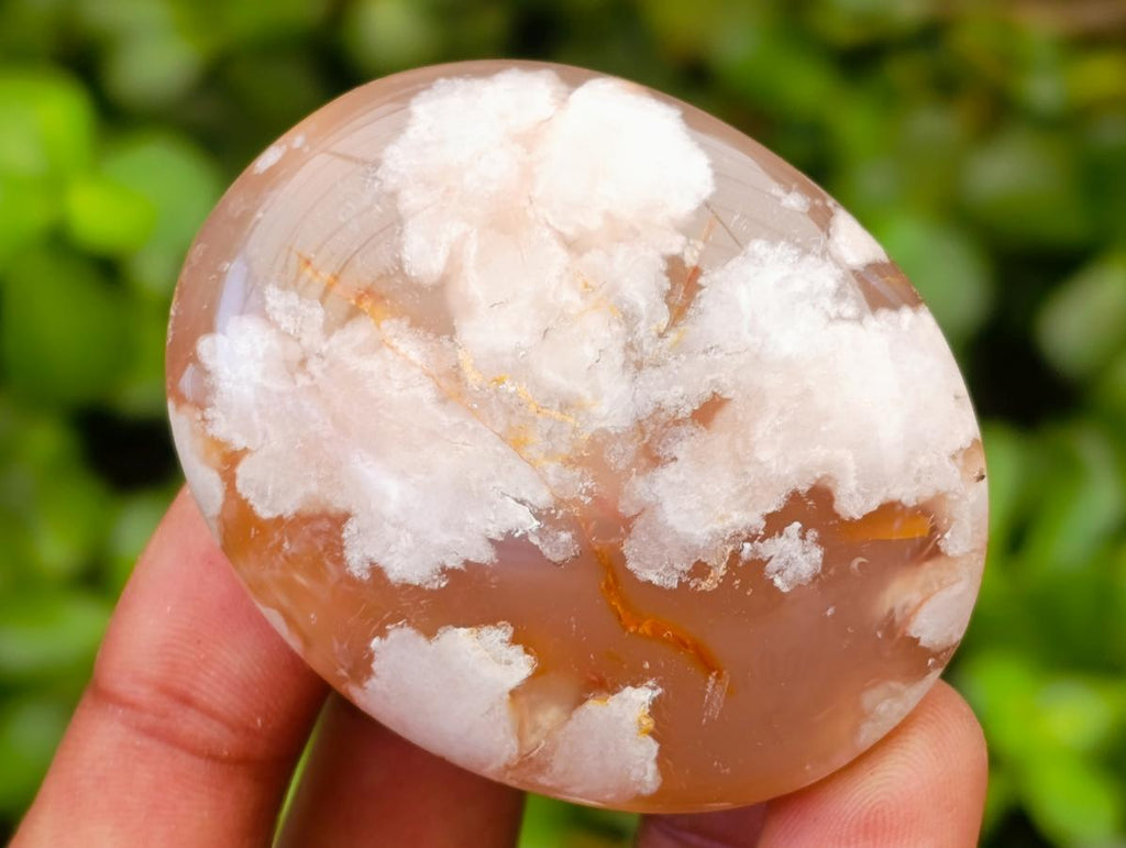 Polished Flower Agate Palm Stones x 12 From Antsahalova, Madagascar