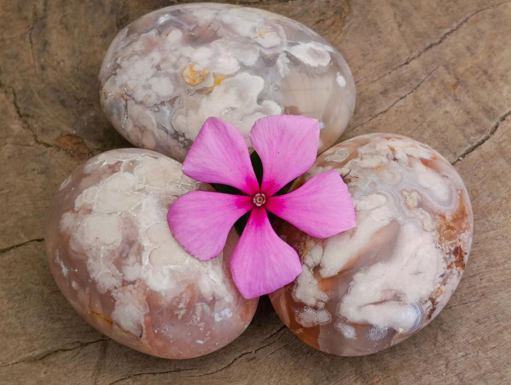 Polished Flower Agate Palm Stones x 12 From Antsahalova, Madagascar
