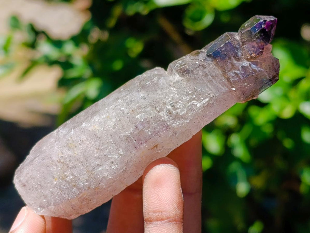 Natural Window Amethyst Crystals x 12 From Chiredzi, Zimbabwe