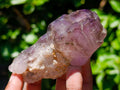 Natural Window Amethyst Crystals x 12 From Chiredzi, Zimbabwe