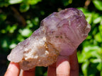 Natural Window Amethyst Crystals x 12 From Chiredzi, Zimbabwe