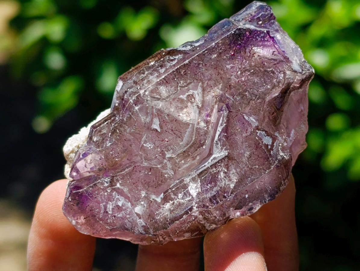 Natural Window Amethyst Crystals x 12 From Chiredzi, Zimbabwe