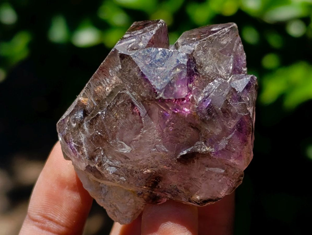 Natural Window Amethyst Crystals x 12 From Chiredzi, Zimbabwe