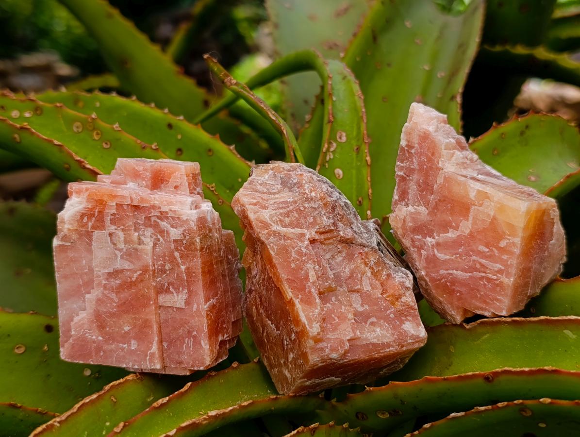Natural Rhombohedral Sunset Orange Calcite Specimens x 12 From Spitzkop, Namibia