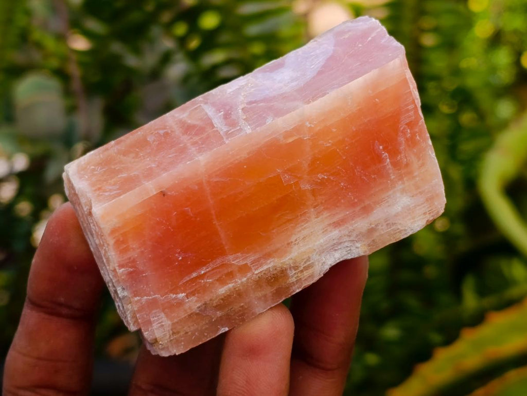 Natural Rhombohedral Sunset Orange Calcite Specimens x 12 From Spitzkop, Namibia