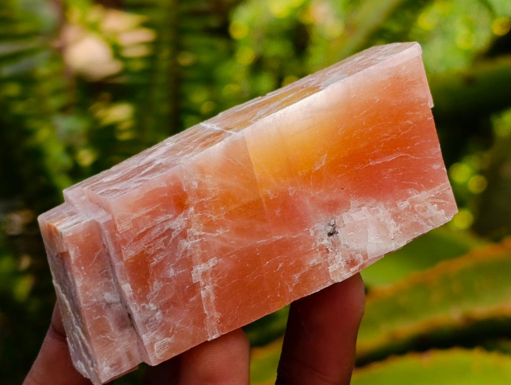 Natural Rhombohedral Sunset Orange Calcite Specimens x 12 From Spitzkop, Namibia