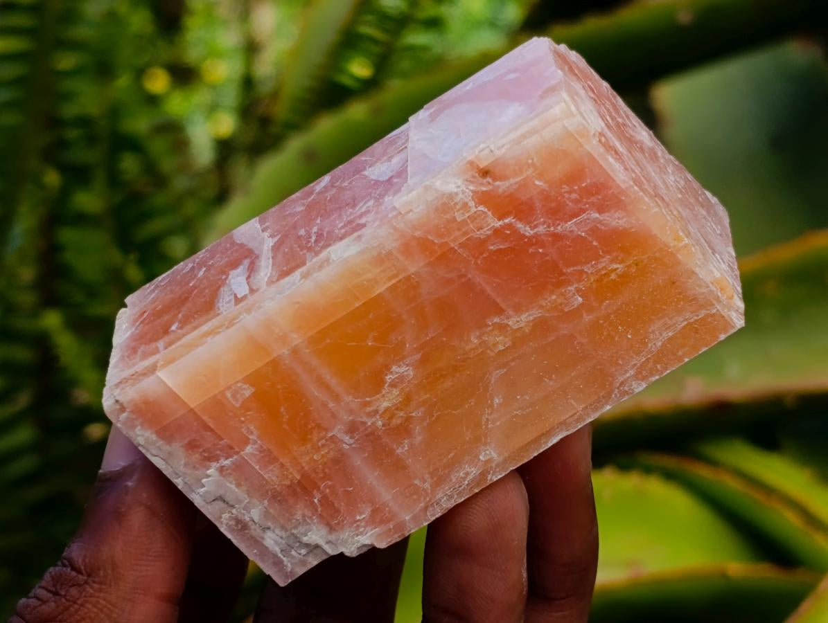 Natural Rhombohedral Sunset Orange Calcite Specimens x 12 From Spitzkop, Namibia