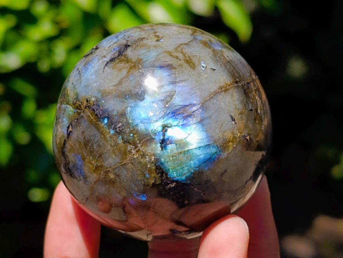 Polished Labradorite Spheres x 6 From Madagascar - Toprock Gemstones and Minerals 