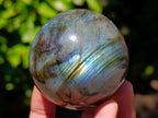 Polished Labradorite Spheres x 6 From Madagascar - Toprock Gemstones and Minerals 