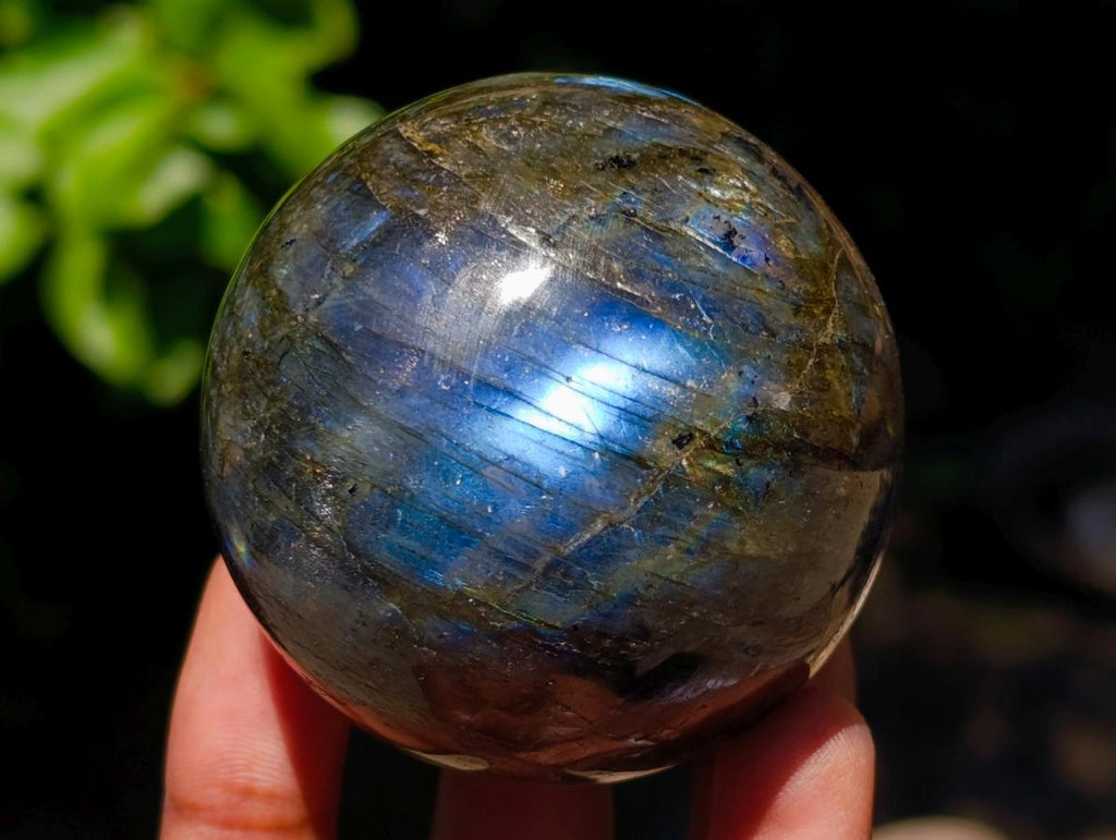 Polished Labradorite Spheres x 6 From Madagascar - Toprock Gemstones and Minerals 