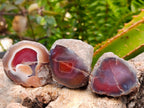 Polished Red Shashe River Agate Nodules x 25 From Shashe River, Zimbabwe