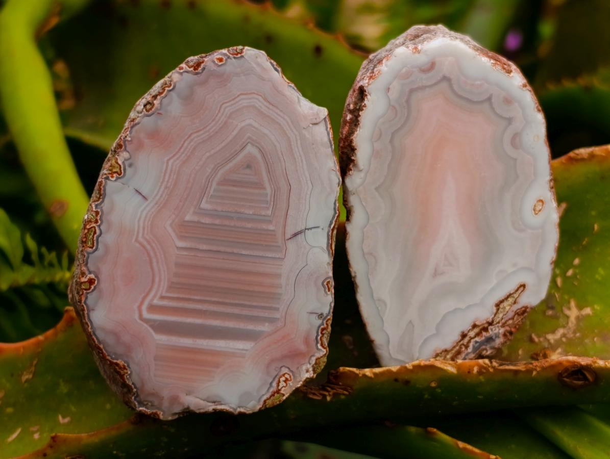 Polished Red Shashe River Agate Nodules x 25 From Shashe River, Zimbabwe