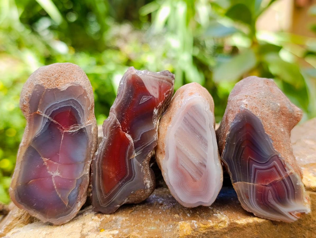 Polished Red Shashe River Agate Nodules x 25 From Shashe River, Zimbabwe