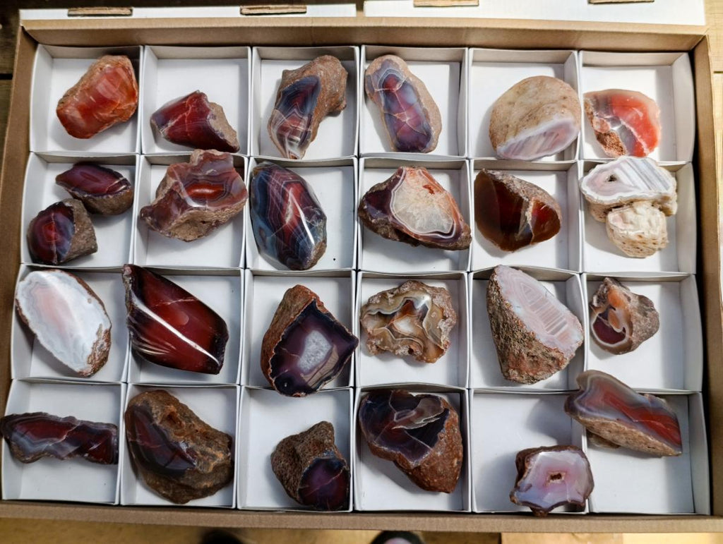 Polished Red Shashe River Agate Nodules x 25 From Shashe River, Zimbabwe