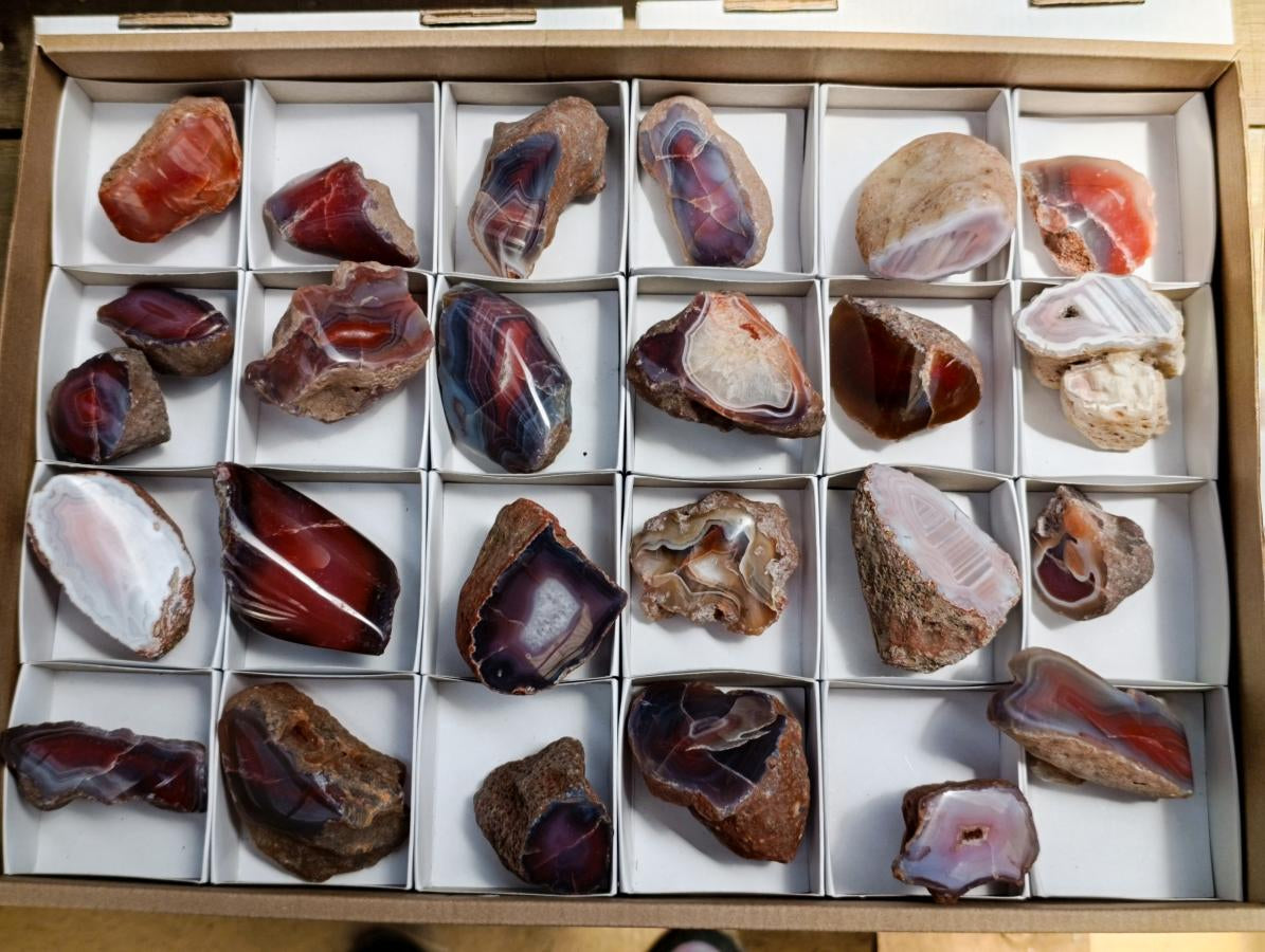 Polished Red Shashe River Agate Nodules x 25 From Shashe River, Zimbabwe