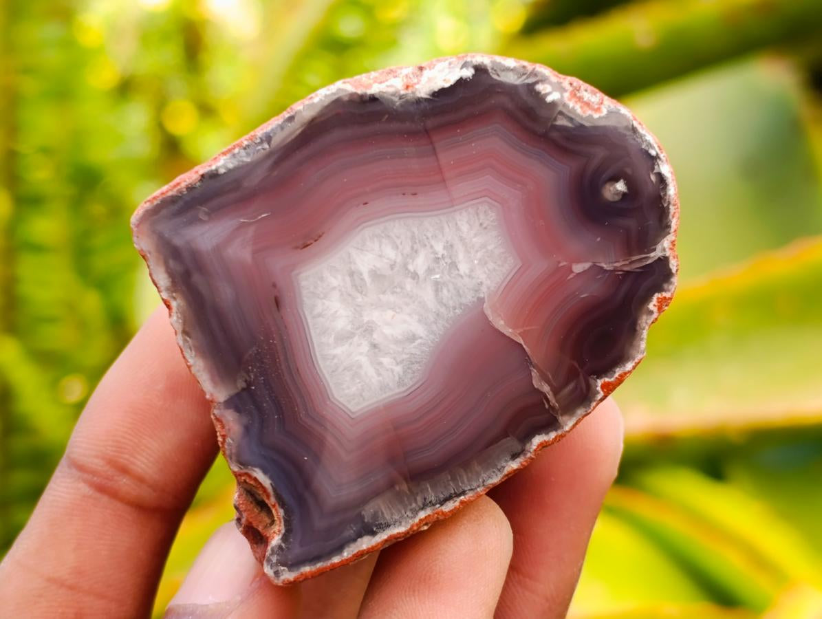 Polished Red Shashe River Agate Nodules x 25 From Shashe River, Zimbabwe