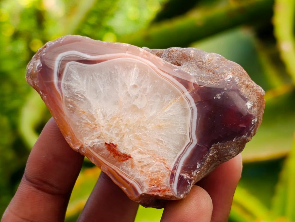 Polished Red Shashe River Agate Nodules x 25 From Shashe River, Zimbabwe
