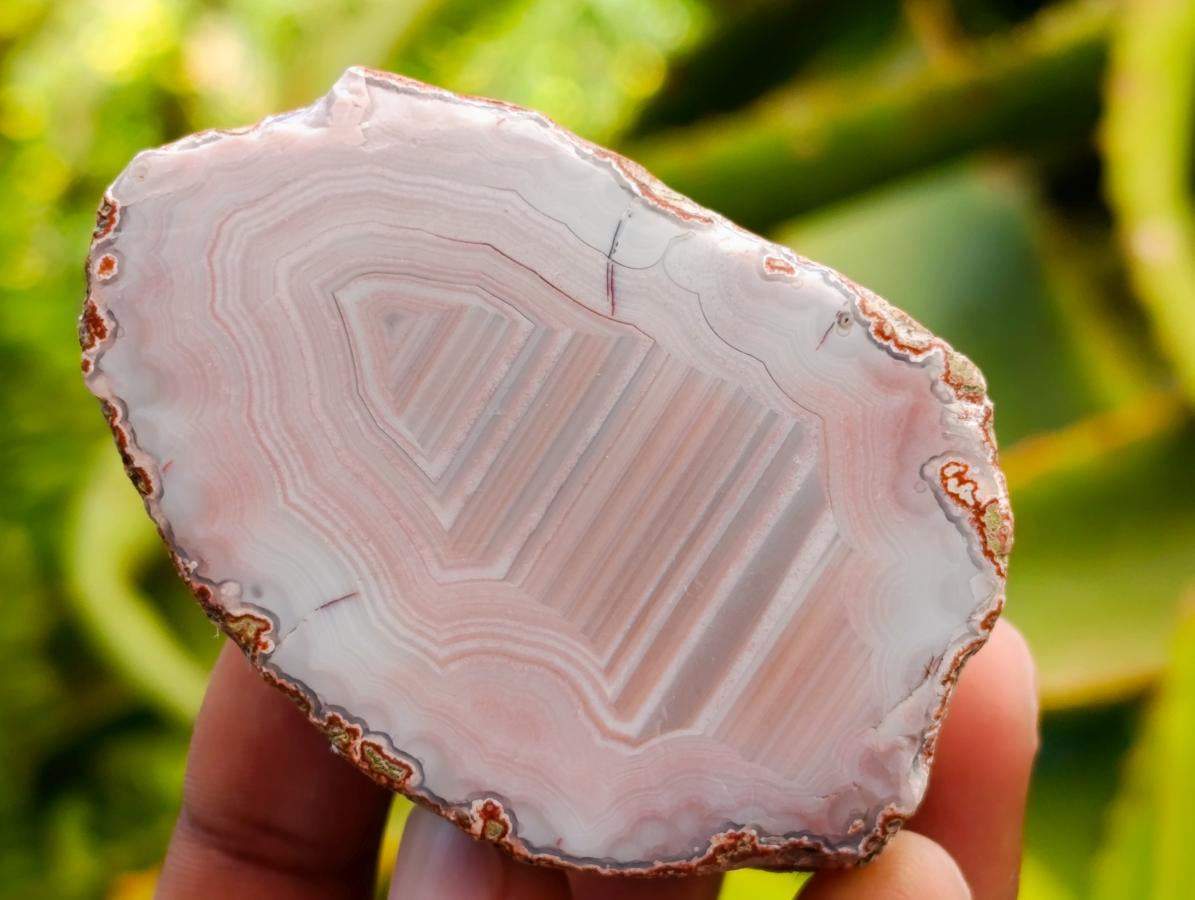 Polished Red Shashe River Agate Nodules x 25 From Shashe River, Zimbabwe