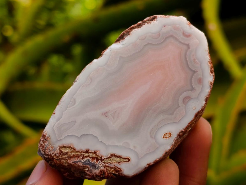 Polished Red Shashe River Agate Nodules x 25 From Shashe River, Zimbabwe