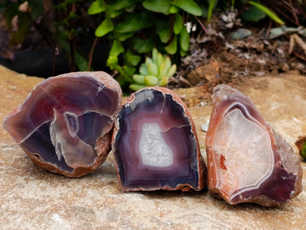 Polished Red Shashe River Agate Nodules x 25 From Shashe River, Zimbabwe