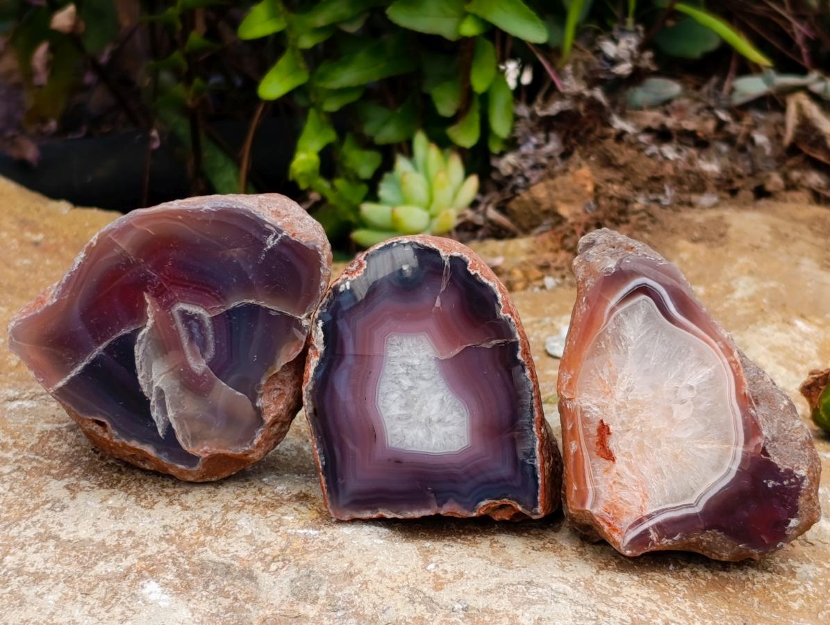 Polished Red Shashe River Agate Nodules x 25 From Shashe River, Zimbabwe
