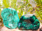 Polished Flower Banded Malachite Free Forms x 6 From Congo