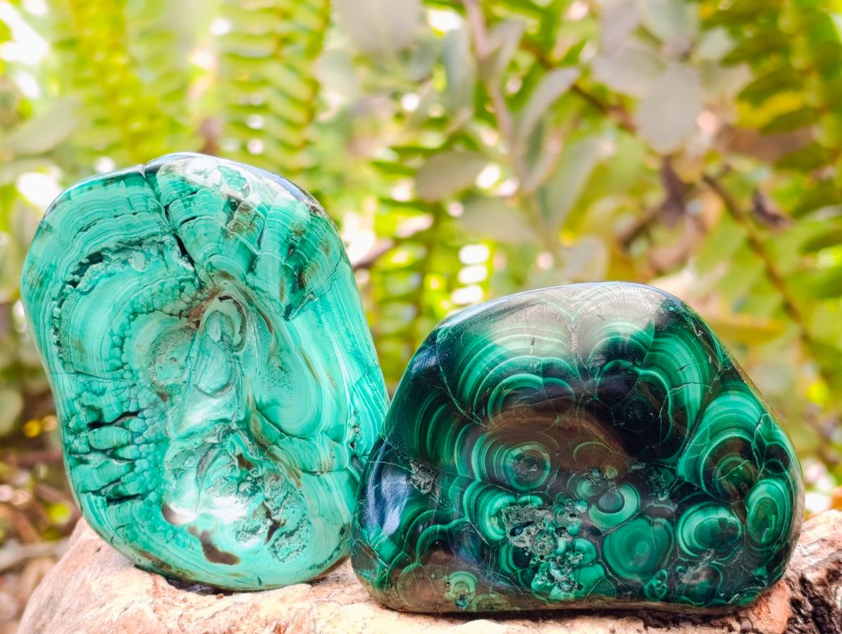 Polished Flower Banded Malachite Free Forms x 6 From Congo