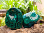 Polished Flower Banded Malachite Free Forms x 6 From Congo