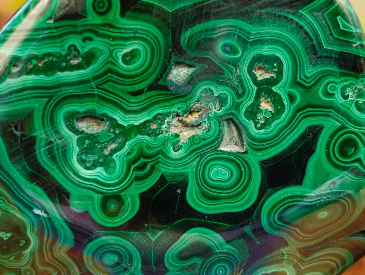 Polished Flower Banded Malachite Free Forms x 6 From Congo