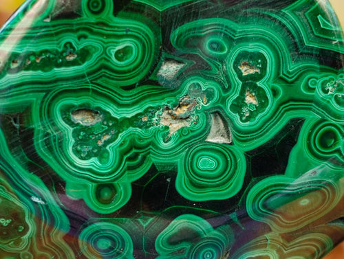 Polished Flower Banded Malachite Free Forms x 6 From Congo