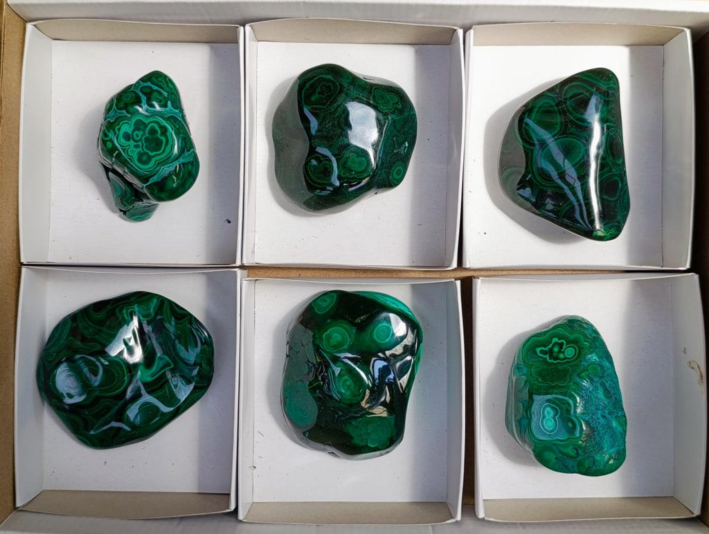 Polished Flower Banded Malachite Free Forms x 6 From Congo