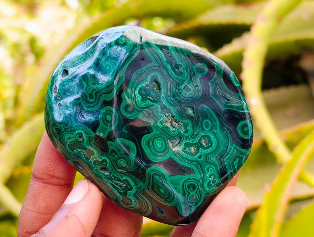 Polished Flower Banded Malachite Free Forms x 6 From Congo
