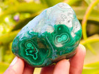 Polished Flower Banded Malachite Free Forms x 6 From Congo