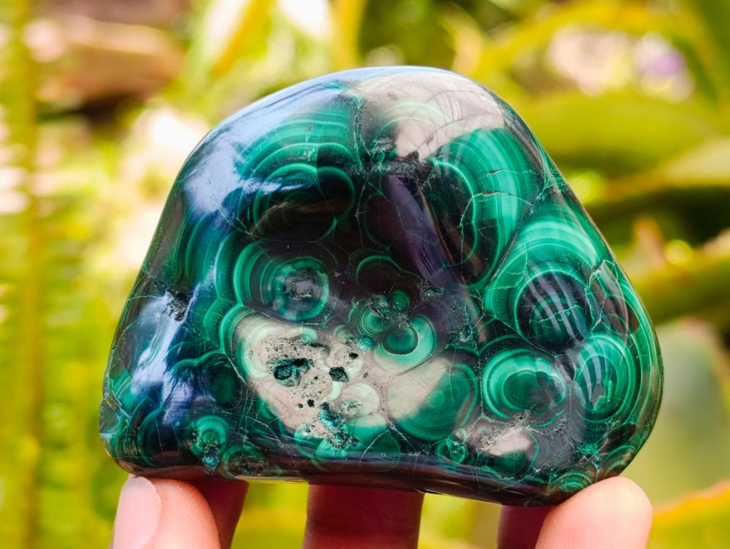 Polished Flower Banded Malachite Free Forms x 6 From Congo