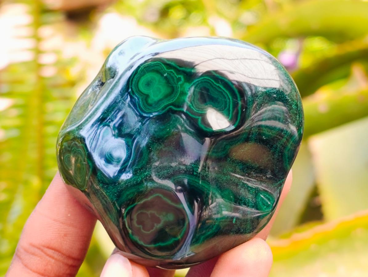 Polished Flower Banded Malachite Free Forms x 6 From Congo