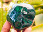 Polished Flower Banded Malachite Free Forms x 6 From Congo