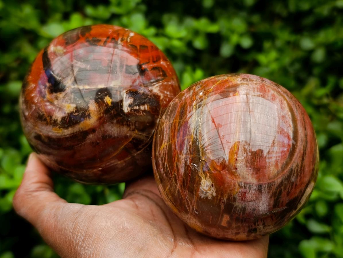 Polished Red Podocarpus Petrified Wood Spheres x 2 From Mahajanga, Madagascar